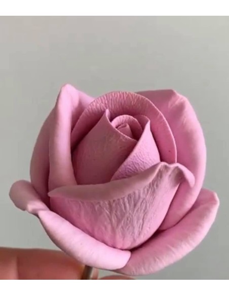 Silicone Mold Rose Maria Small