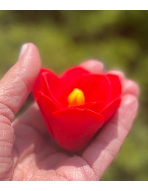 Amaryllis silicone mold