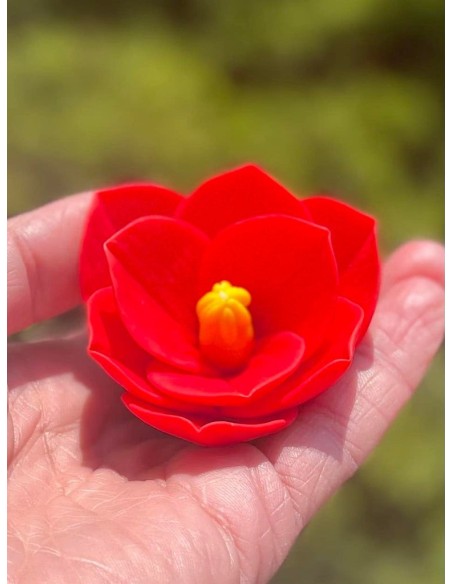 Amaryllis silicone mold