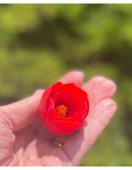 Amaryllis silicone mold