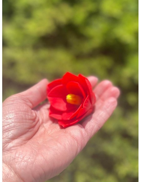 Amaryllis silicone mold