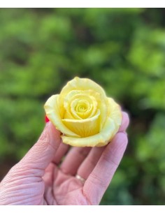 Foremka silikonowa Róża Florina 2