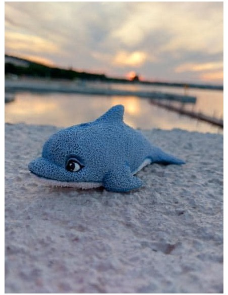 Foremka silikonowa Delfin