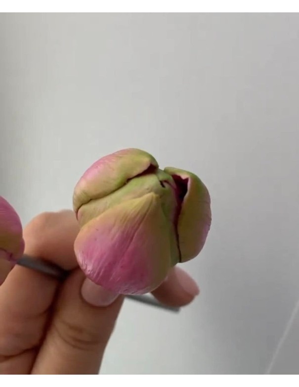 Foremka silikonowa Tulipan Fre