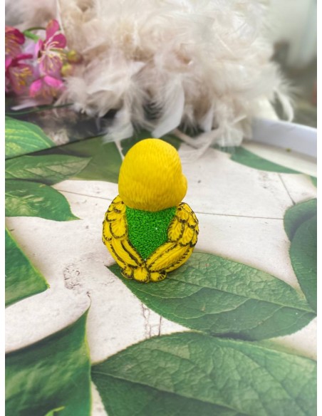 Silicone mold Parrot Frugo